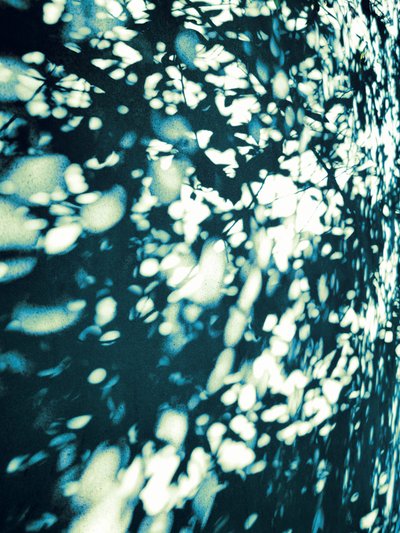 Abstrakte Blattschatten von Angelo Cerantola