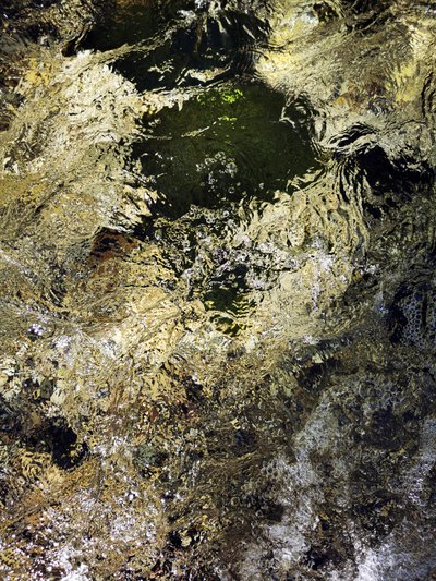 Goldenes Wasserschimmern von Angelo Cerantola