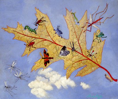 Herbstblatt, 2009 von Anna Pugh