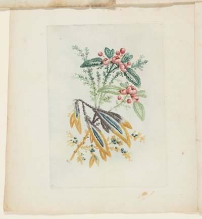 Platte, aus Neue Suite von Notizbüchern idealer Blumen für den Gebrauch von Zeichnern und Malern von Anne Allen