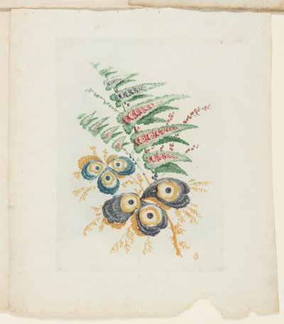Platte, aus Neue Suite von Notizbüchern der idealen Blumen für den Gebrauch von Zeichnern und Malern von Anne Allen