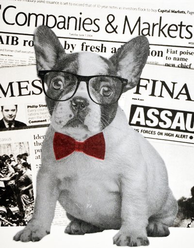 Wall Street Hund, 2015 von Anne Storno