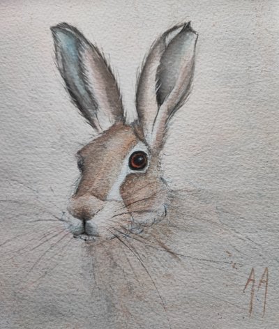 Sanftes Hasenporträt von Annette Armitage