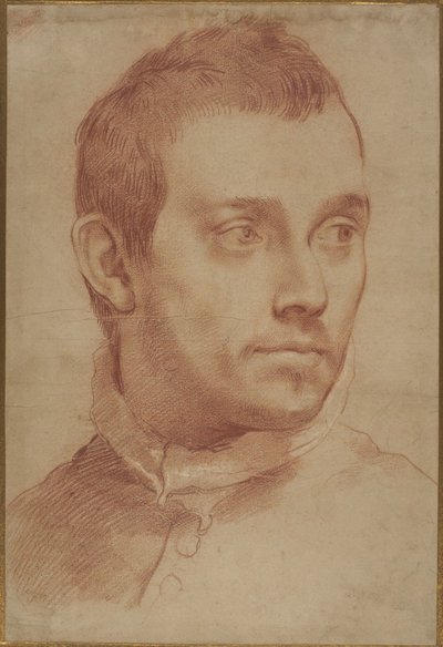 Porträt eines jungen Mannes von Annibale Carracci