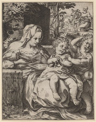 Die Madonna der Schwalbe von Annibale Carracci