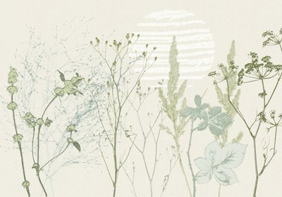 Gedämpfter botanischer Sonnenaufgang von Annick
