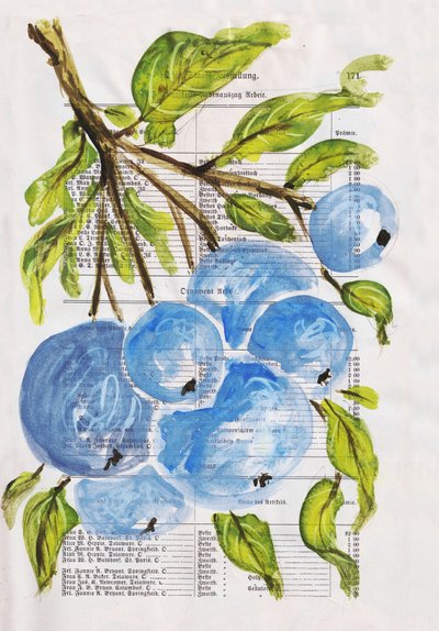 Gemalte Blaubeeren auf Papier von Annick