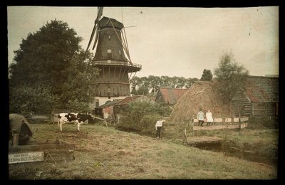 Landschaftsszene mit Windmühle, angebundenem Kuh und posierenden Kindern, Niederlande von Anonymous