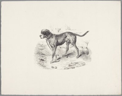 Hund an einer Kette von Anonymous