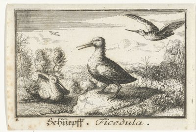 Landschaft mit drei Schnepfen von Anonymous