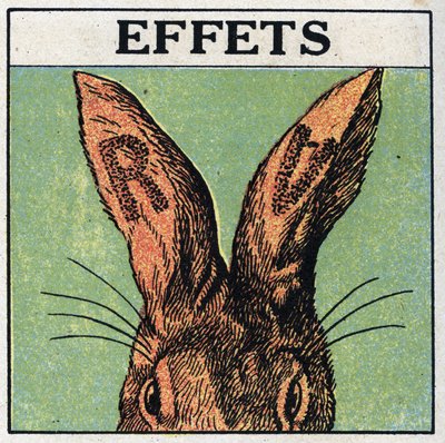 Ultraviolette Strahlen: Effekte. Wir bedecken die Ohren eines Kaninchens mit schwarzem Karton oder schneiden die Buchstaben R und V aus, dann setzen wir das Tier den ultravioletten Strahlen einer Quecksilberlampe aus: die Ohren zeigen Verbrennungsspuren, d von Anonymous Anonymous