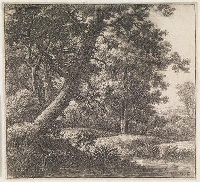 Schief gewachsener Baum von Anthonie Waterloo