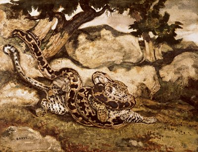 Ein Python tötet einen Tiger von Antoine Louis Barye