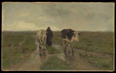 Wechselnde Weide von Anton Mauve