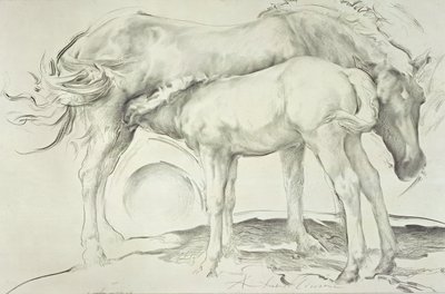 Pferde bei Coolmore, 1990 von Antonio Ciccone
