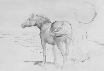 Pferde bei Coolmore, 1990 von Antonio Ciccone