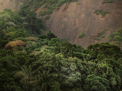Corcovado XV, 2020 von Antonio Schubert