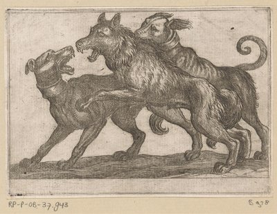 Zwei Hunde im Kampf mit einem Wolf (Vechtende dieren) von Antonio Tempesta