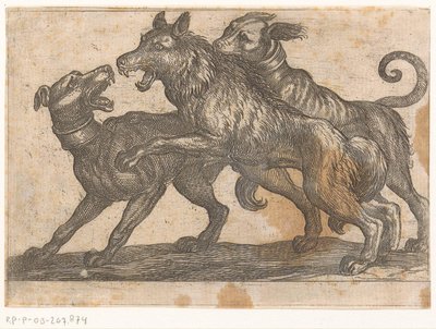 Zwei Hunde im Kampf mit einem Wolf von Antonio Tempesta