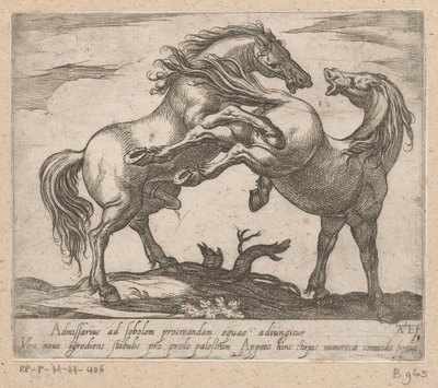 Zwei paarende Pferde (Paarden uit verschillende landen) von Antonio Tempesta