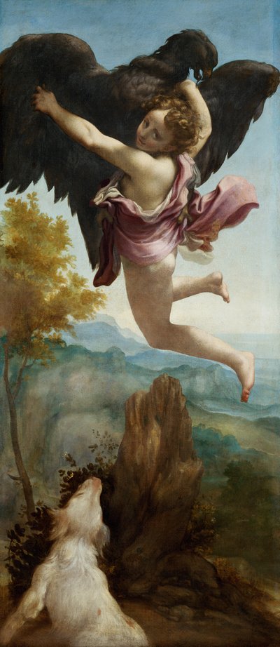 Der Raub des Ganymedes von Antonio da Correggio