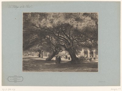Eichenbäume bei der Kirche von Cimiez von Armand Theophile Cassagne