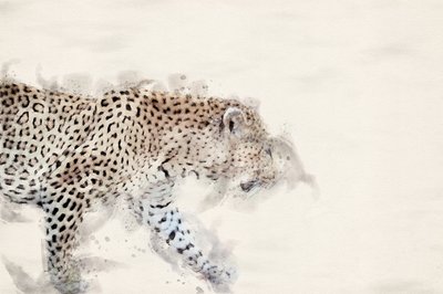 Anmutiger Aquarell Leopard von Arno Du Toit