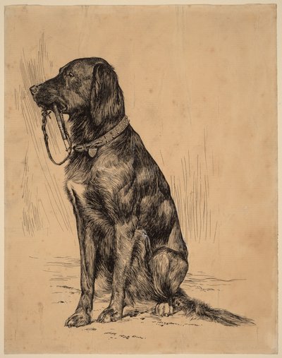 Aldrichs Hund, späte 1880er von Arthur Bowen Davies