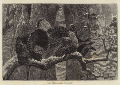 Die triumphierenden Truthähne von Arthur Boyd Houghton