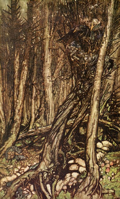 Undine von Arthur Rackham