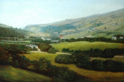 Centre Vale Park und Burnley Valley von Artist Unknown