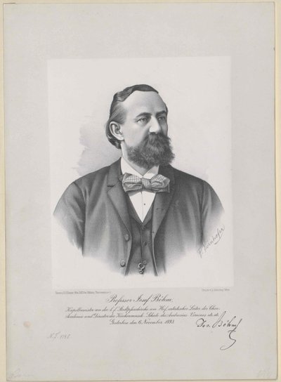 Joseph Boehm (Druck) von Artist Unknown
