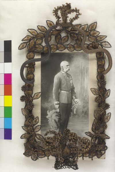 Kaiser Franz Joseph I. von Artist Unknown