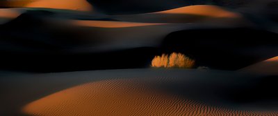Goldene Stunde Wüstendünen von Asef Azimaie