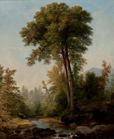 Ein natürlicher Monarch von Asher Brown Durand