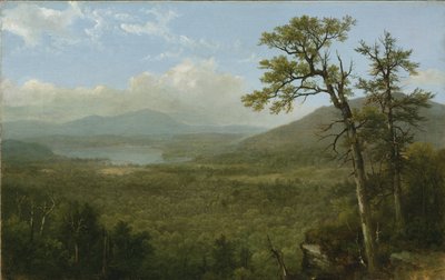 Adirondack Mountains, N.Y., 1870 von Asher Brown Durand