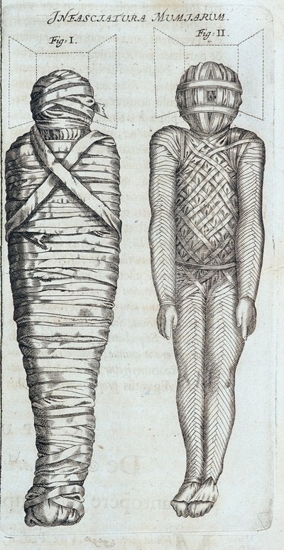 Mumien - in „Sphynx mystagoga“ von Athanase Kircher von Athanasius Kircher