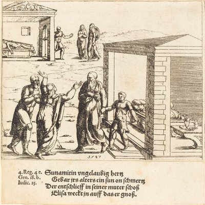 Elisa erweckt den Sohn der Schunemiterin, 1547 von Augustin Hirschvogel