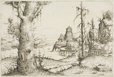 Flusslandschaft mit großem Baum im Vordergrund von Augustin Hirschvogel
