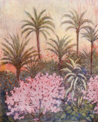 Ein Palmengarten in Murcia von Augustine Fitzgerald