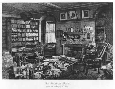 Das Arbeitszimmer in Down, veröffentlicht 1882 (Gravur) von Axel (after) Haig