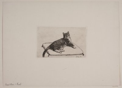 Liegende Katze von Axel Hou
