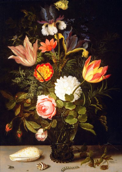 Stillleben mit Blumen in einem Römer und zwei Muscheln von Balthasar van der Ast