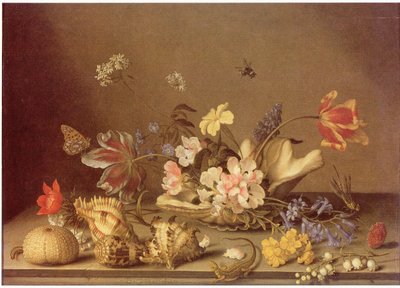 Stillleben mit Blumen und Muscheln von Balthasar van der Ast