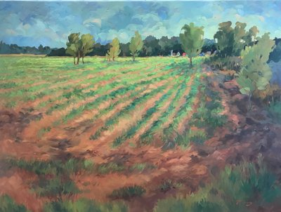 Früher Morgen von Barbara Cleary