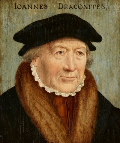 Porträt von Johannes Draconites von Bartholomaeus Bruyn the Elder
