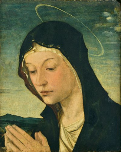 Kopf und Hände einer anbetenden Madonna (Fragment), ca. 1477-78 von Bartolomeo Montagna