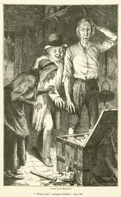 Peter Goldthwaites Schatz von Basil Bradley