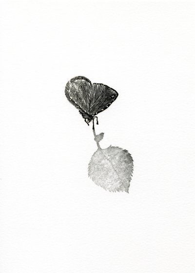 Spannung, 2014 von Bella Larsson