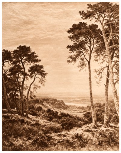 Sonnenuntergang nach Regen, 1903 von Benjamin Williams Leader